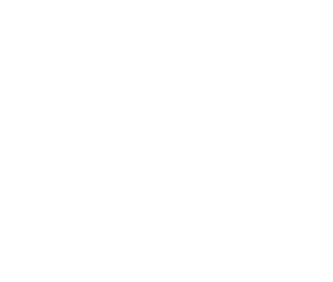 Alain David